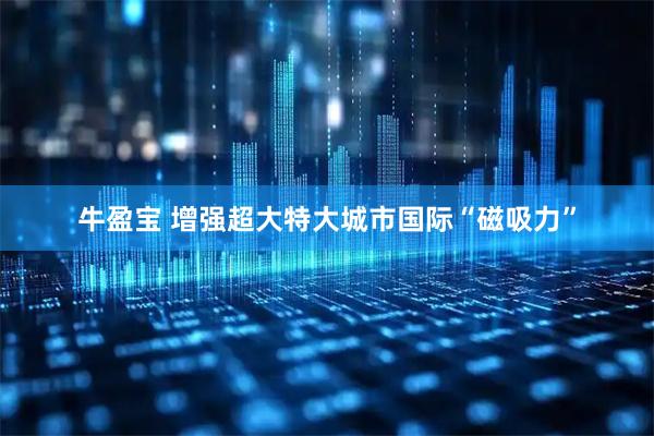 牛盈宝 增强超大特大城市国际“磁吸力”