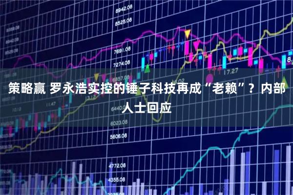 策略赢 罗永浩实控的锤子科技再成“老赖”？内部人士回应