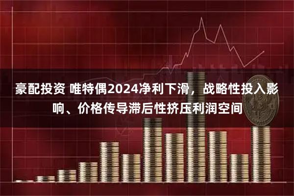 豪配投资 唯特偶2024净利下滑，战略性投入影响、价格传导滞后性挤压利润空间