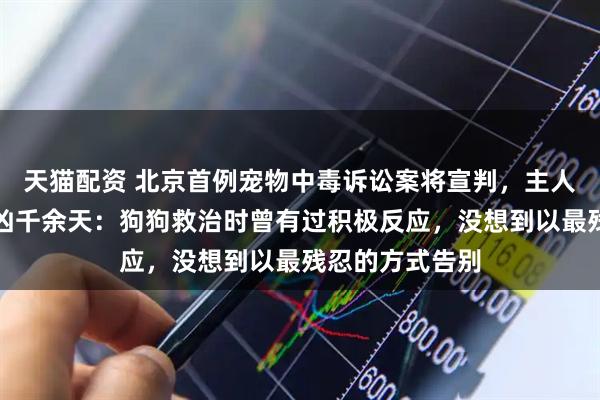 天猫配资 北京首例宠物中毒诉讼案将宣判，主人辞职为爱犬追凶千余天：狗狗救治时曾有过积极反应，没想到以最残忍的方式告别