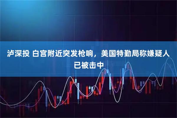泸深投 白宫附近突发枪响，美国特勤局称嫌疑人已被击中